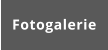 Fotogalerie